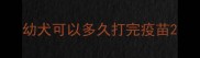 幼犬可以多久打完疫苗