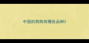 中国的狗狗有哪些品种