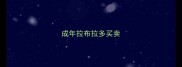 成年拉布拉多买卖