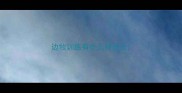 边牧训练有什么好办法