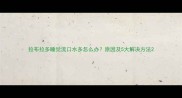 拉布拉多睡觉流口水多怎么办原因及5大解决方法