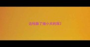 边牧舔了细小犬的尿