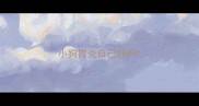 小狗胃炎自己好吗