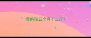雪纳瑞五个月十二斤
