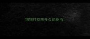 狗狗打疫苗多久能驱虫