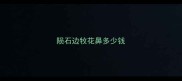 陨石边牧花鼻多少钱