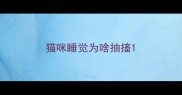 猫咪睡觉为啥抽搐