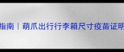 带猫坐飞机全流程指南萌爪出行行李箱尺寸疫苗证明舱位选择避坑手册