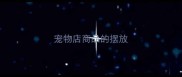 宠物店商品的摆放