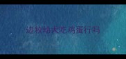 边牧幼犬吃鸡蛋行吗