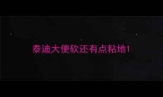 泰迪大便软还有点粘地
