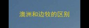 澳洲和边牧的区别