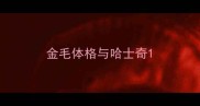 金毛体格与哈士奇