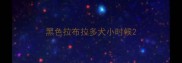 黑色拉布拉多犬小时候