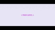 小狗喜欢追陌生人