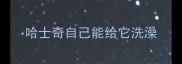 哈士奇自己能给它洗澡