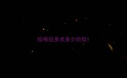 拉布拉多犬多少价位