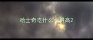 哈士奇吃什么长得高