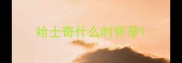 哈士奇什么时怀孕