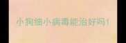 小狗细小病毒能治好吗