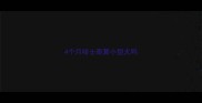 4个月哈士奇算小型犬吗
