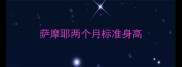 萨摩耶两个月标准身高