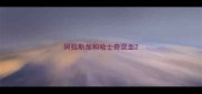 阿拉斯加和哈士奇混血