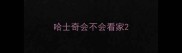 哈士奇会不会看家