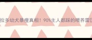 紧急指南5岁拉布拉多幼犬暴瘦真相90主人都踩的喂养雷区附科学喂养表