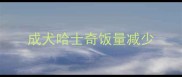 成犬哈士奇饭量减少