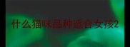 什么猫咪品种适合女孩