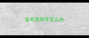 金毛双排牙怎么办