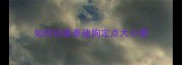 如何训练泰迪狗定点大小便