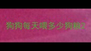 狗狗每天喂多少狗粮