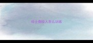 哈士奇咬人怎么训练