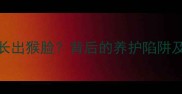 萨摩耶11个月长出猴脸背后的养护陷阱及科学护理指南