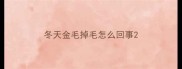 冬天金毛掉毛怎么回事