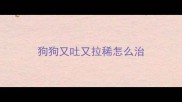 狗狗又吐又拉稀怎么治