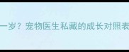 小狗几个月算一岁宠物医生私藏的成长对照表新手必看