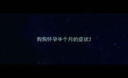 狗狗怀孕半个月的症状