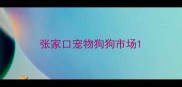 张家口宠物狗狗市场