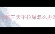 小狗三天不拉屎怎么办