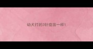 幼犬打的3针疫苗一样