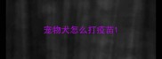 宠物犬怎么打疫苗