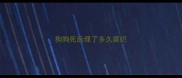 狗狗死后埋了多久腐烂