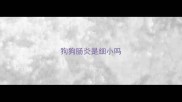 狗狗肠炎是细小吗