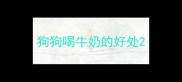 狗狗喝牛奶的好处