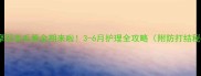 萨摩耶美毛黄金期来啦3-6月护理全攻略附防打结秘籍