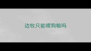 边牧只能喂狗粮吗
