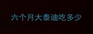 六个月大泰迪吃多少